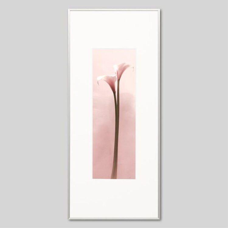 IGREBOW 色つやの花 アイグレボウ 室内装飾写真絵 軽銀枠組み L大きさ 色つや第八芸術 ウォールデコレーション-家具、インテリア