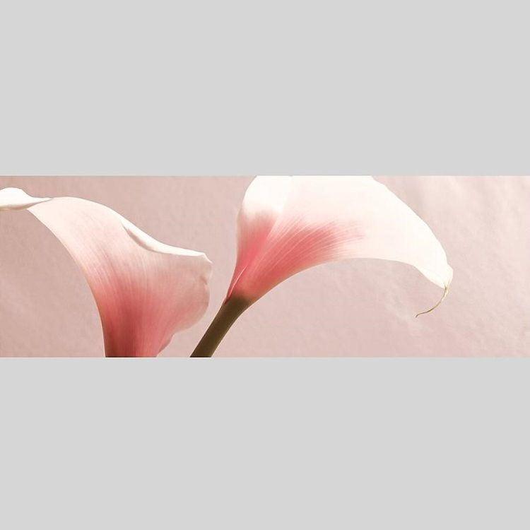 IGREBOW カラーの花 アイグレボウ インテリアフォト ウッド黒フレーム ビッグサイズ カラー写真｜besign｜02