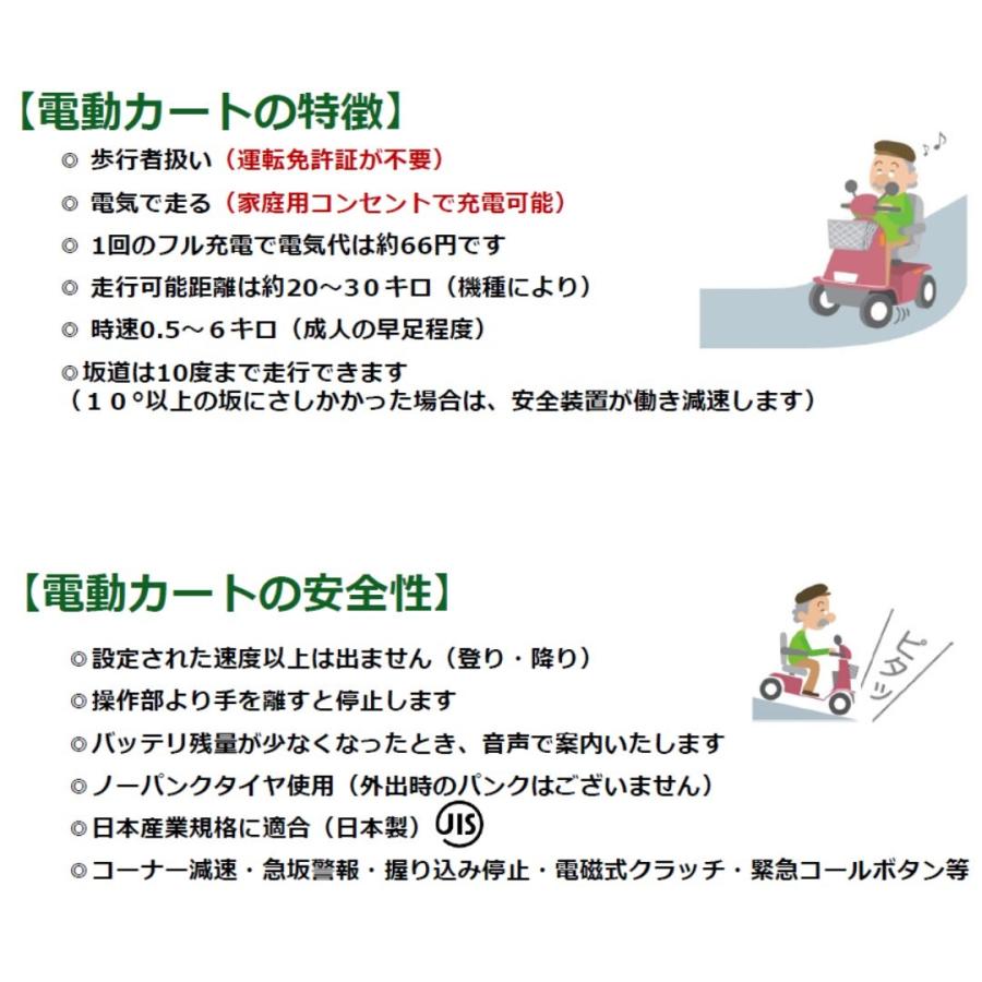 電動カート] Serio 遊歩スキップアルファ ライトパープル 00020-000054