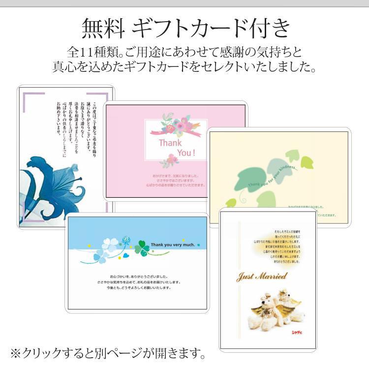 TANITA（タニタ） 体組成計 レッド 体重計 デジタル 家電 のし