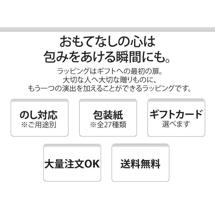 貝印 カイハウスセレクト クイックブレンダー デラックス ミキサー のし ラッピング 包装紙 プレゼント 贈り物 ギフト 贈答用 カタログギフト 送料無料｜besign｜05