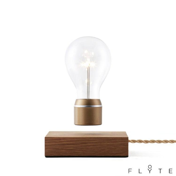 ☆美品☆ FLYTE(フライト) 空中に浮かぶ電球　インテリア　照明 フライト FLYTE | 新着 | plywood(プライウッド)