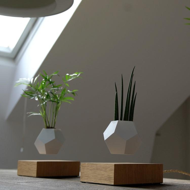 空中に植物を浮かせる 新しいプランター 空中に植物を浮かせる 新しいプランター 二子玉川 蔦屋家電