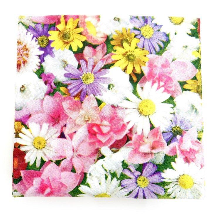 カクテルナプキン 枚入 Paper Design ペーパーデザイン ペーパーナプキン ドイツ製 25 25cm フラワー デイジー ピンク パープル Cn06 Vd ビザインショップ 通販 Yahoo ショッピング
