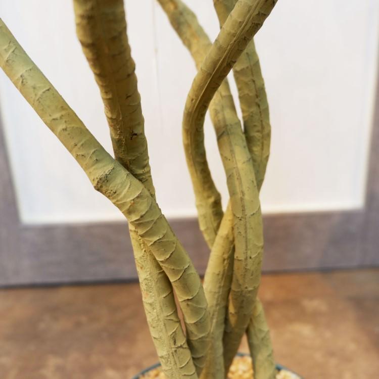 ユッカポット 114cm アーティフィシャルグリーン 人工観葉植物 簡易鉢付きグリーン F4186の画像