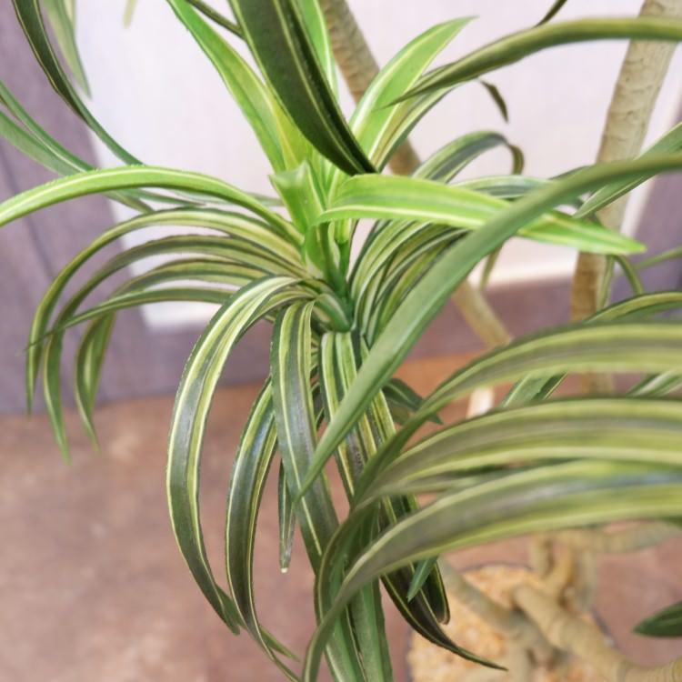 ユッカポット 114cm アーティフィシャルグリーン 人工観葉植物 簡易鉢付きグリーン F4186の画像