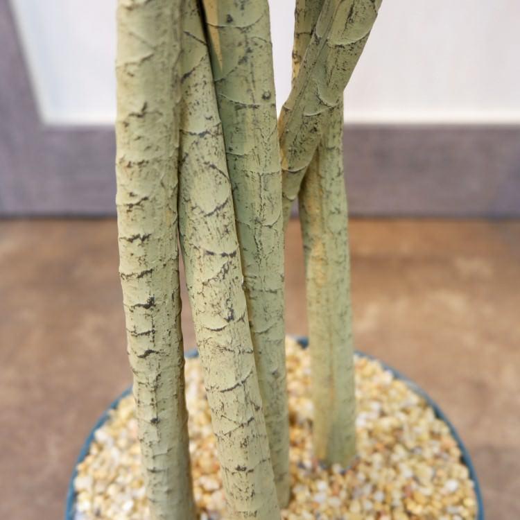 ユッカポット 156cm アーティフィシャルグリーン 人工観葉植物 簡易鉢付きグリーン F4187