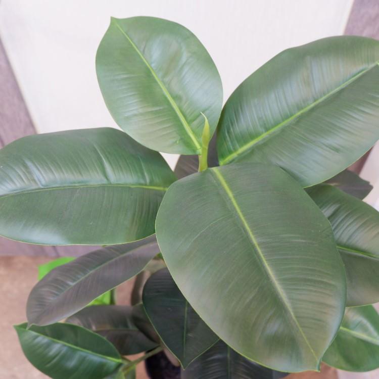ラバーポット 95cm アーティフィシャルグリーン 人工観葉植物 簡易鉢付きグリーン P4858の画像