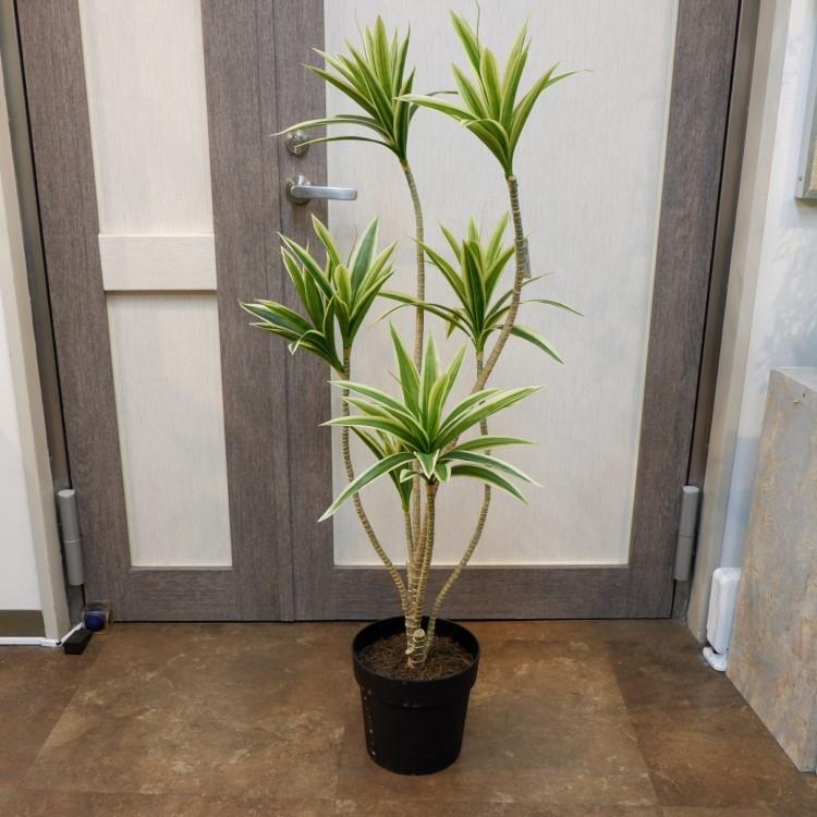 ドラセナレフレクサポット 109cm アーティフィシャルグリーン 人工観葉植物 簡易鉢付きグリーン VR22090