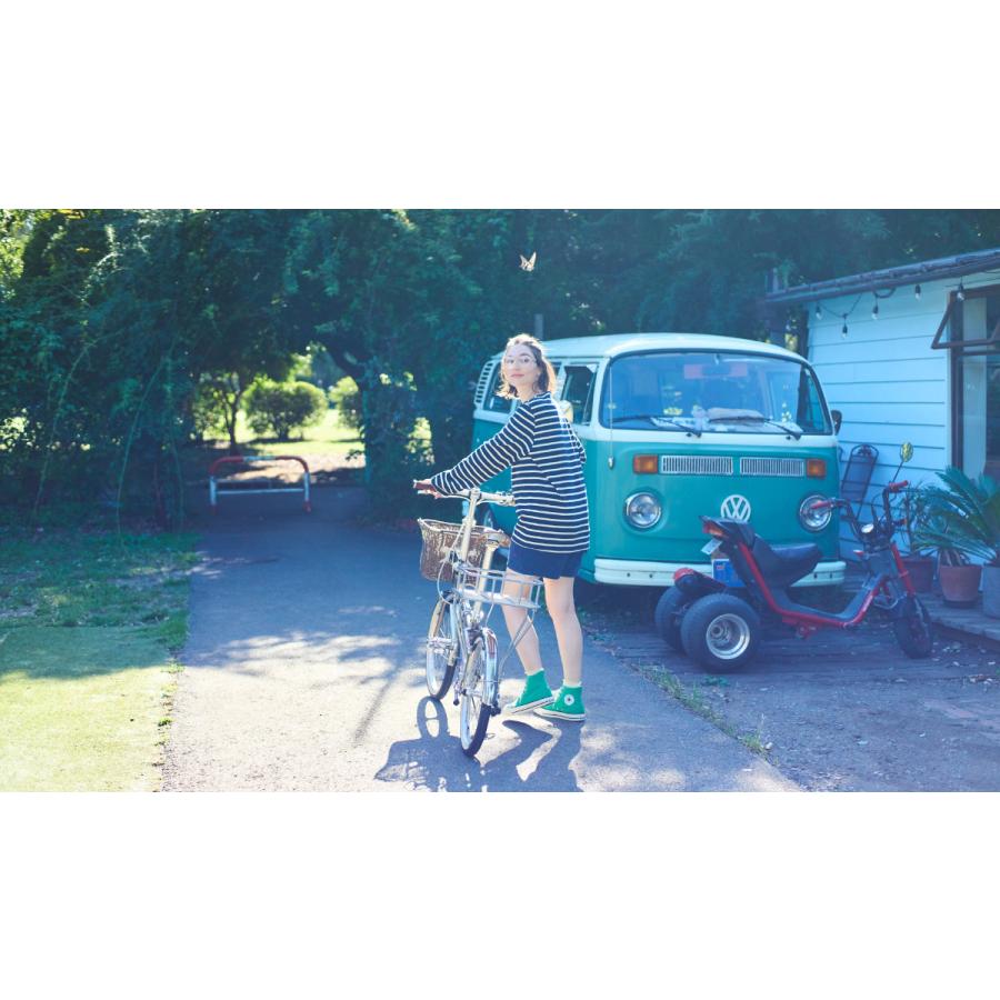 直接推奨 DAHON Boardwalk ダホン　折りたたみ自転車　20インチ DAHON（ダホン） ボードウォーク DAHON Boardwalk D7 継続モデル