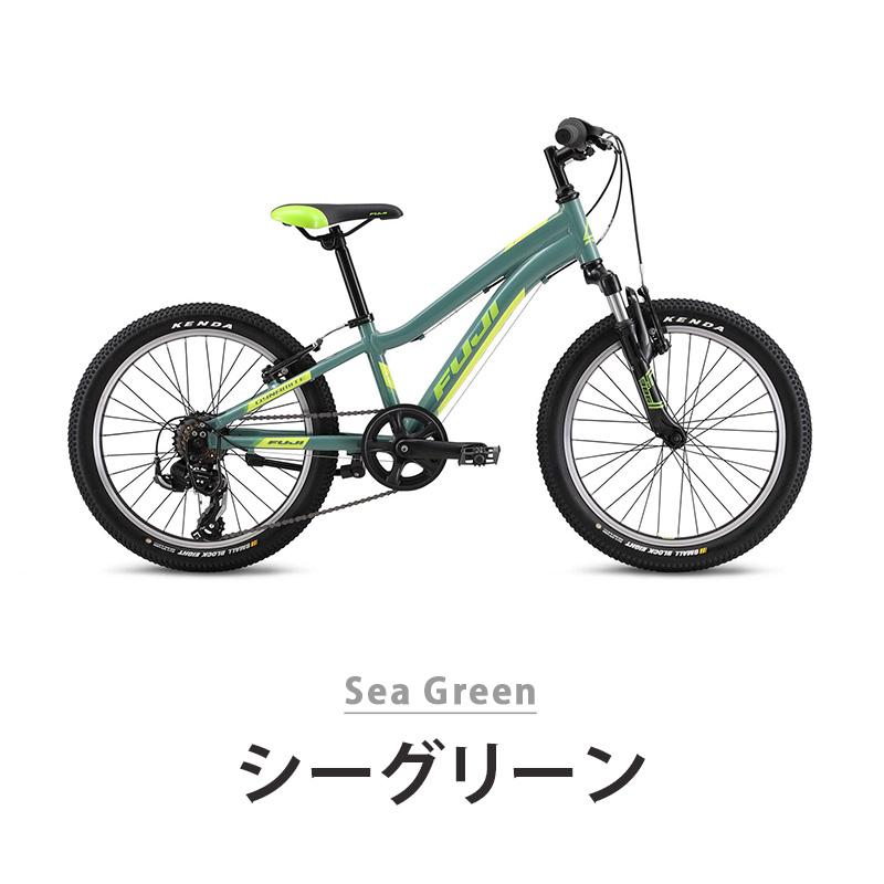 E870★13800円★整備済み 中古子供自転車 トーキョーバイク【20インチ　グリーン 】 フジ（Fuji） 自転車 キッズ 子供 キッズバイク DYNAMITE 20