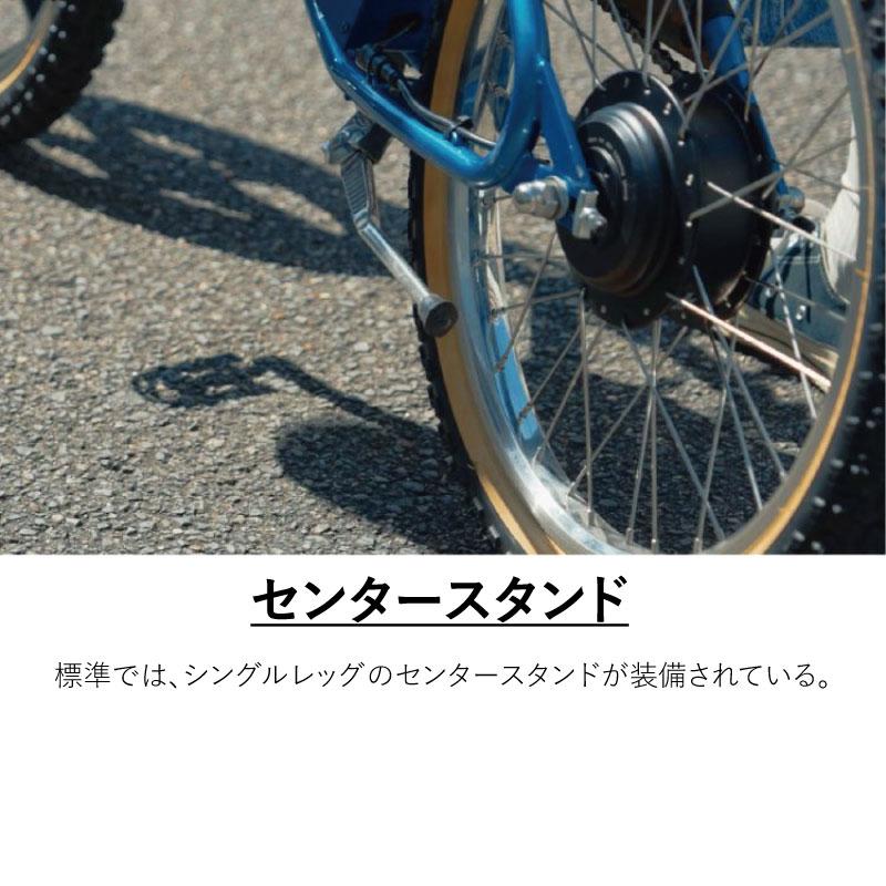 フジ（Fuji） 電動アシスト自転車 ミニベロ E-BIKE イーバイク MX-E