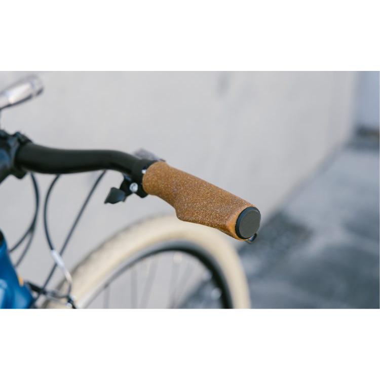 フジ（Fuji） 自転車 バイク クロスバイク RAIZ ライズ 2025年モデル
