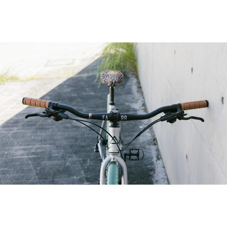 フジ（Fuji） クロスバイク RAIZ DISC ライズディスク 自転車 バイク