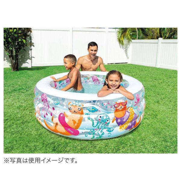 INTEX インテックス プール ビニール 子供 キッズ 家庭用プール 夏休み 自宅 水遊び 簡単 庭 簡単 アクアリウムプール 幅152×高さ56cm 58480 6歳以上 並行輸入｜bespo｜02