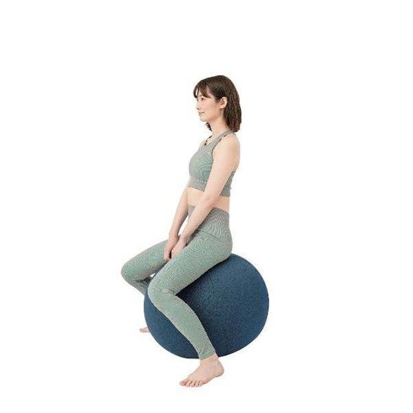 V-BALANCE Vバランス 業務用 日本製 中古 ブルブルマシン ヴィバランス エクササイズ 健康器具 トレーニング ニーズラボ 健康器具 バランスボール 体幹バランスエクサ
