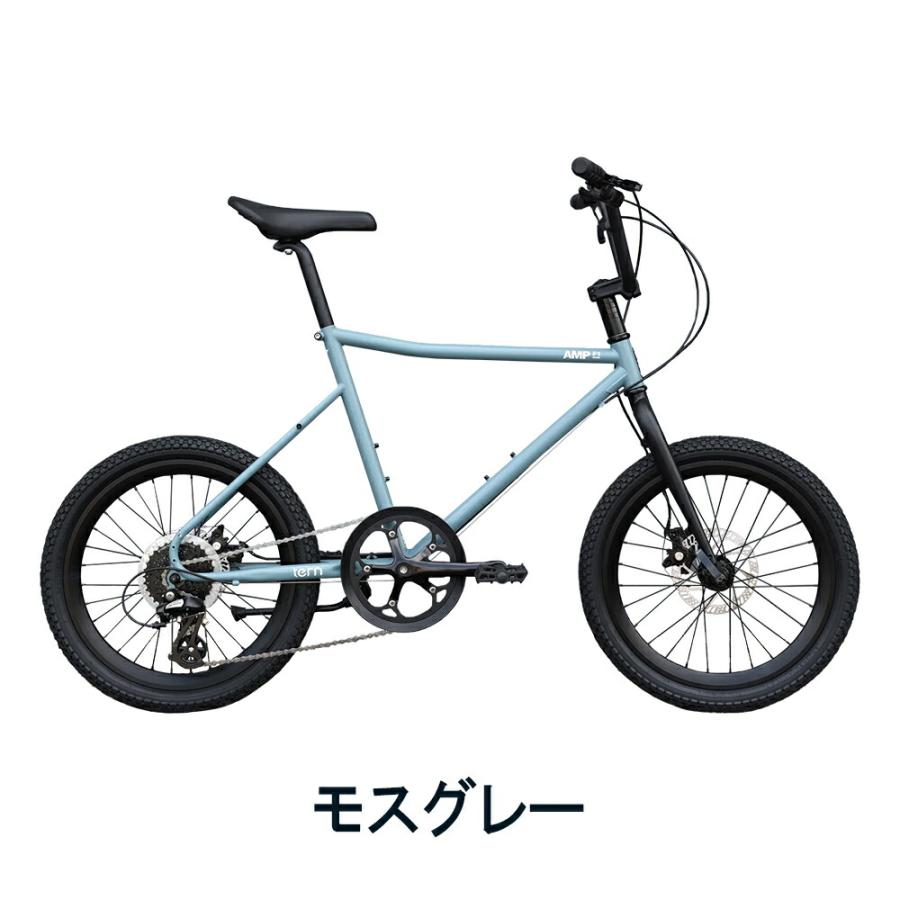 DAHON（ダホン） Tern ターン 自転車 ミニベロ AMP F1 アンプ F1 2024