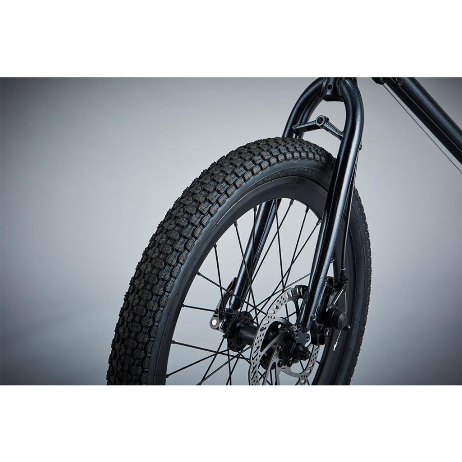 DAHON（ダホン） Tern ターン 自転車 ミニベロ AMP F1 アンプ F1 2024