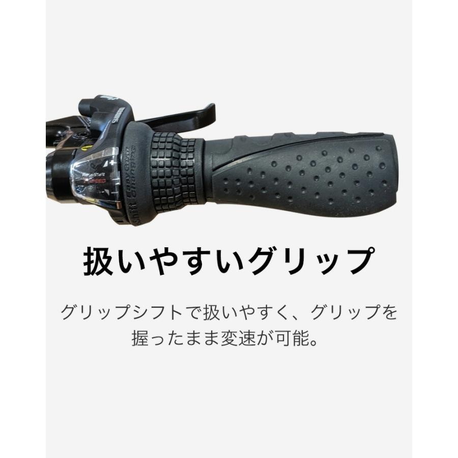 DAHON（ダホン） Tern Link A7 ターン リンク 折りたたみ自転車 2025年