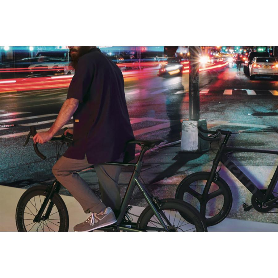 DAHON（ダホン） Tern ターン 自転車 ミニベロ Surge サージュ 2025年