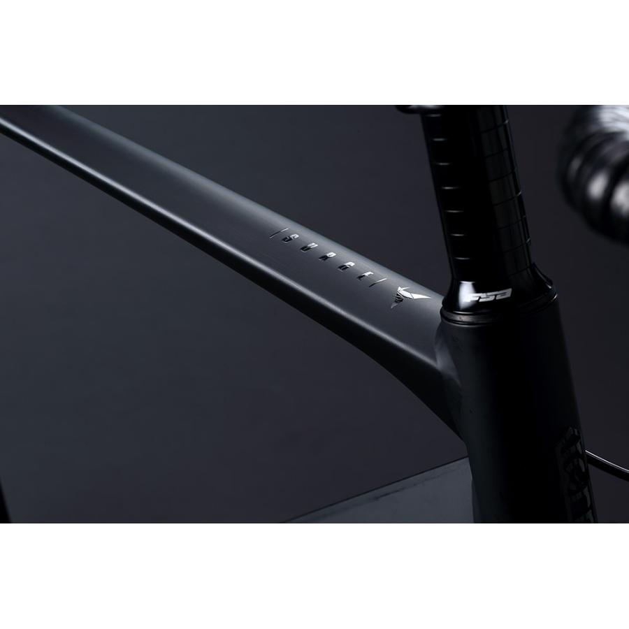 DAHON（ダホン） Tern ターン 自転車 ミニベロ Surge サージュ 2025年