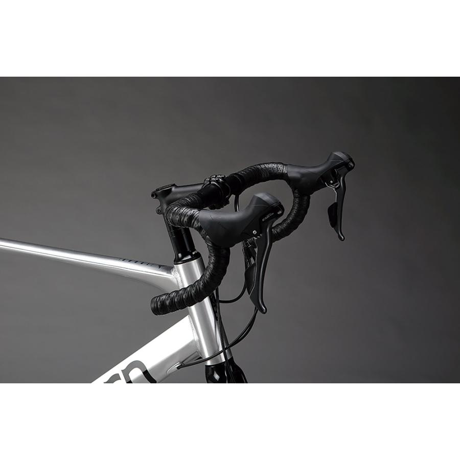 DAHON（ダホン） Tern ターン 自転車 ミニベロ Surge サージュ 2025年