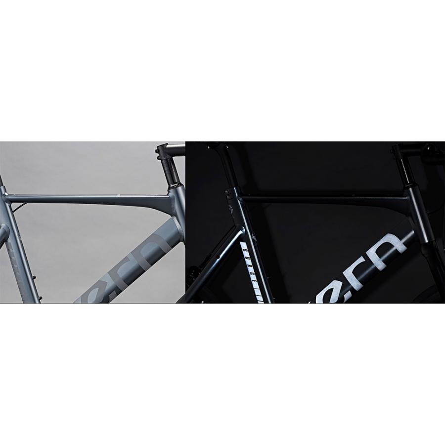 DAHON（ダホン） Tern ターン 自転車 ミニベロ Surge サージュ 2025年