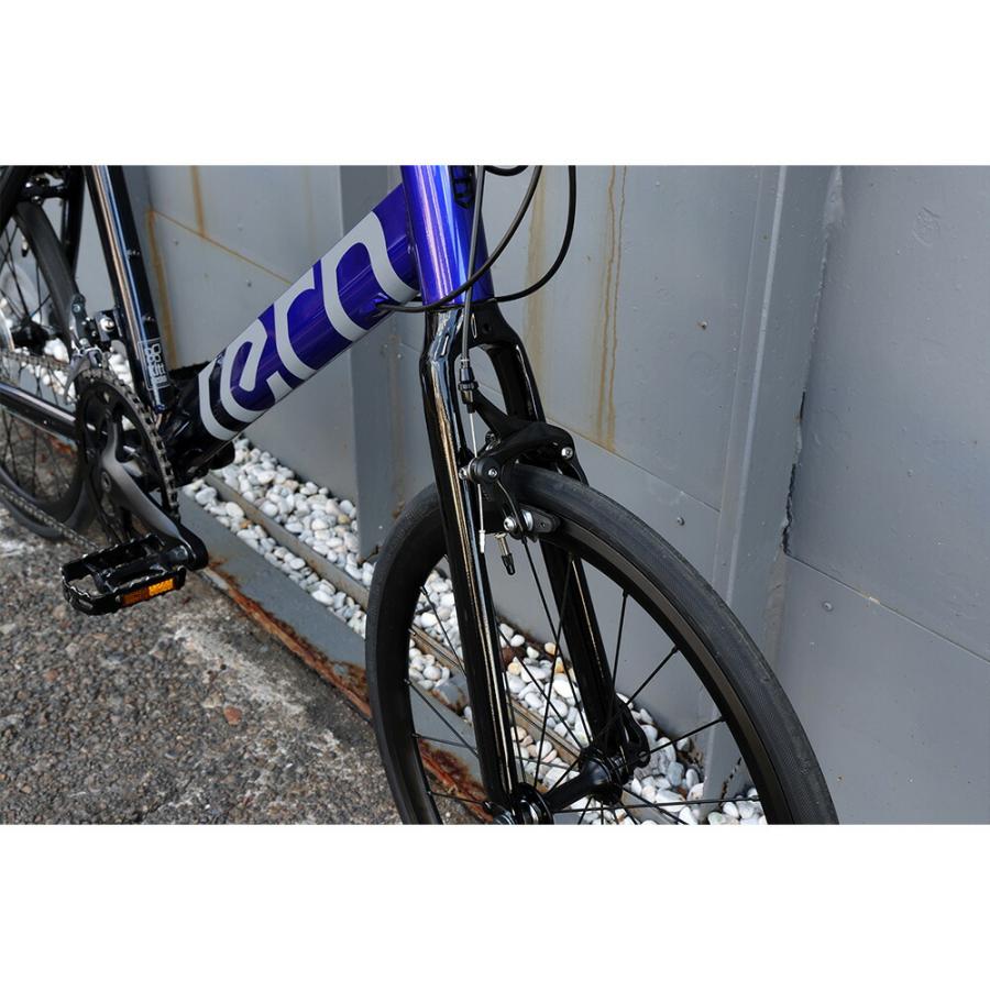 DAHON（ダホン） Tern ターン 自転車 ミニベロ Surge サージュ 2024年