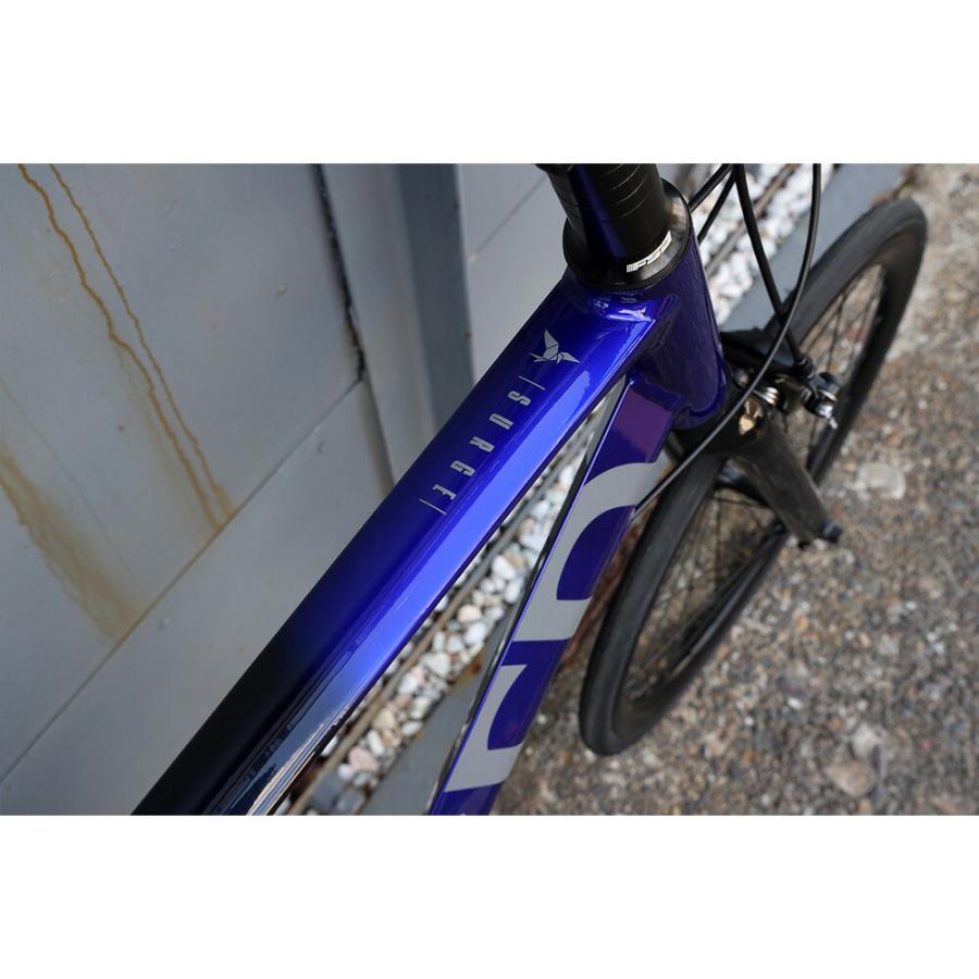 DAHON（ダホン） Tern ターン 自転車 ミニベロ Surge サージュ 2024年