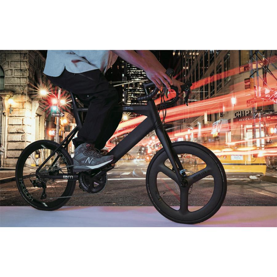 DAHON（ダホン） Tern ターン 自転車 ミニベロ Surge X サージュ カイ