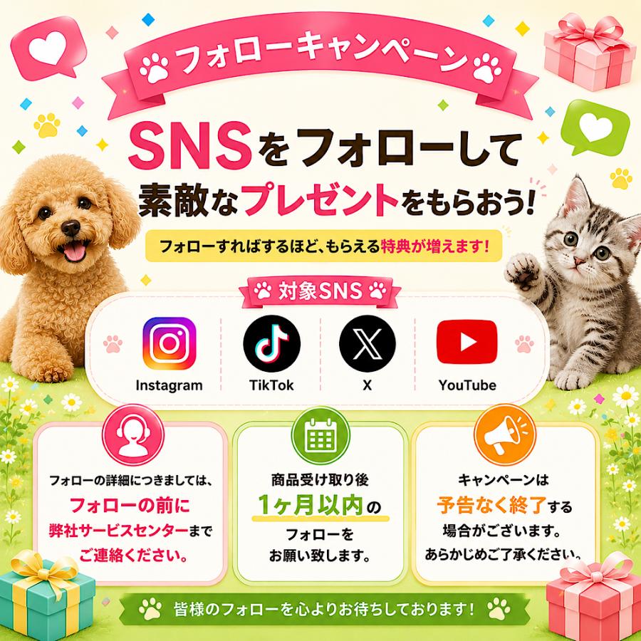 PETKIT（ペットキット） 自動給餌器【PETKIT SOLO】ペット給餌器 猫 犬