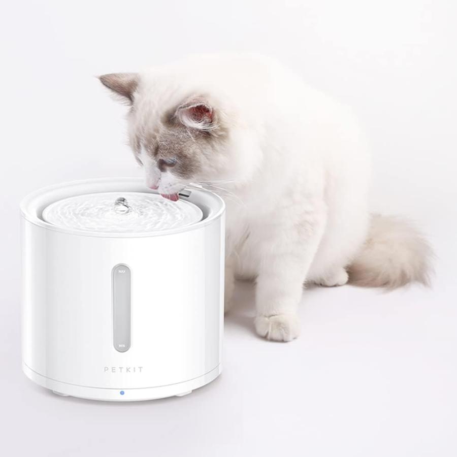 PETKIT 【PETKIT】給水器フィルター 純正品 SOLO SE / SOLO2 PETKIT 【PETKIT】給水器フィルター 純正品 SOLO SE / SOLO2