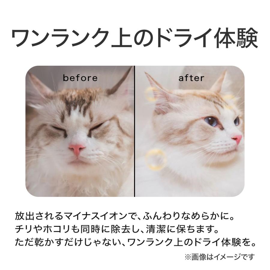 ドライヤーハウス Natural Wind ドライルーム ドライボックス 犬 猫