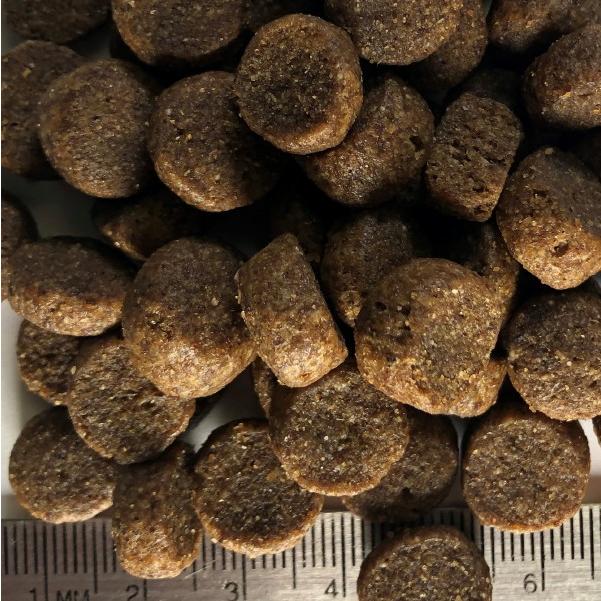 リーガル　ラージブリードレシピ 11.8kg 