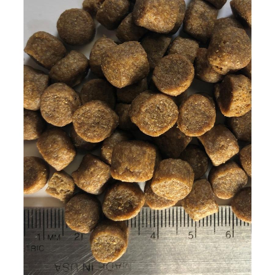 リーガル　アダルト パスチャーランド レシピ ラム 11.8kg 