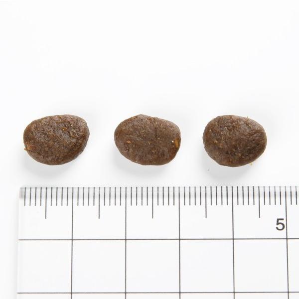 ORIJEN（オリジン） カナダ産 パピー 2Kg(子犬用） : BCPヤフー店