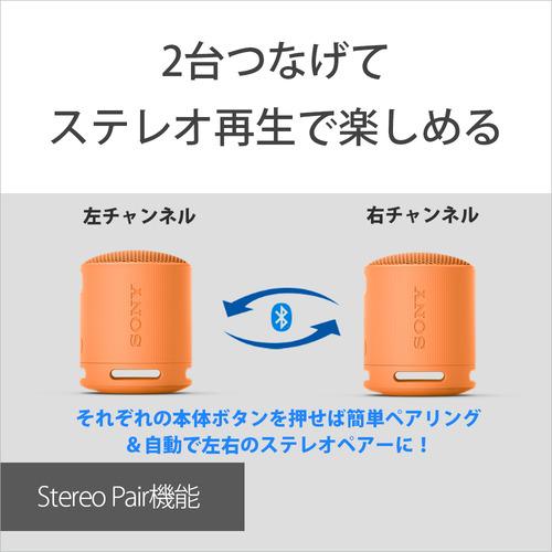 2台セット【新品未開封】SONY SRS-XB100ブラックワイヤレススピーカー SONY（ソニー） 【当店1年保証】SONY ワイヤレスポータブルスピーカー