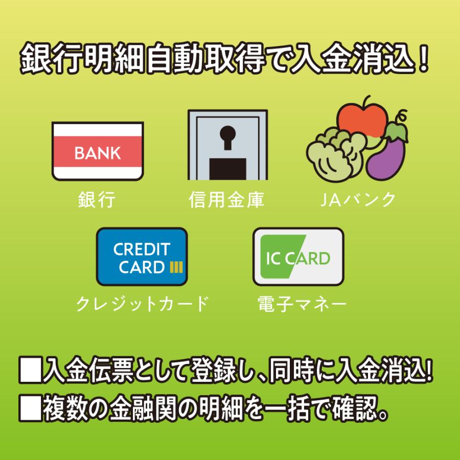 柔らかい ソリマチ 販売王22 消費税改正対策版 - 通販 - www.bahri.edu.sd