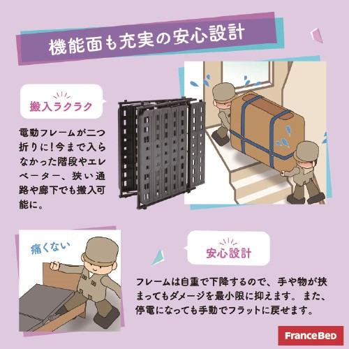[シングル]フランスベッド 【オーバーレイ】 電動ベッドフレームIQケベツクRXIOTGY Sグレー