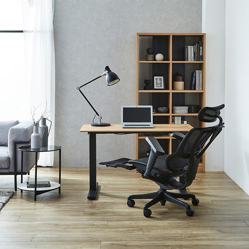 関家具 Ergohuman エルゴヒューマン FIT2 Lite BF-BK ブラックフレーム 