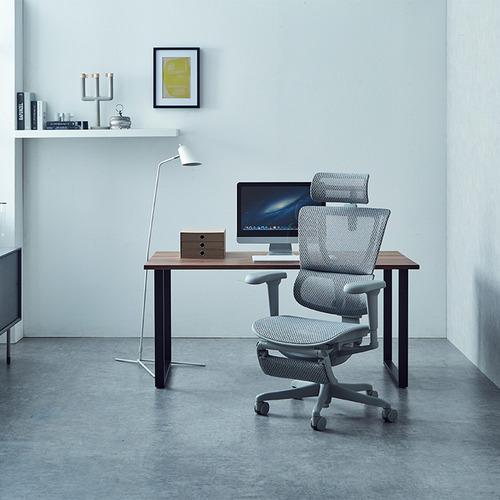関家具 Ergohuman エルゴヒューマン FIT2 Lite GF-WH グレーフレーム 