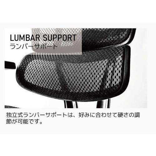 関家具 エルゴヒューマン 新基盤モデル エルゴヒューマン2 プロオットマン グレーフレーム EHP2-LPL-DR-GF-WH ホワイト 445402