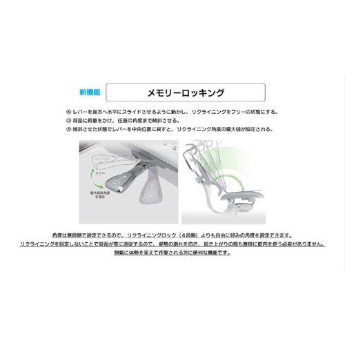 関家具 エルゴヒューマン 新基盤モデル エルゴヒューマン2 プロロータイプ ブラックフレーム EHP2-LAM-DR-BF-GN グリーン 445420_3