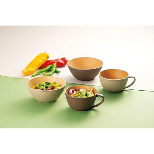 カノー EARTH COLOR 抗菌ボウル レッド 74295 : ベスト電器Yahoo!店