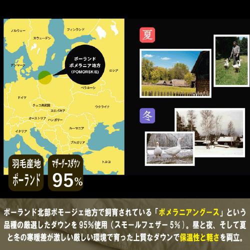 【美品】大塚家具DAUNA羽毛布団 ダブルサイズ ダブル] 大塚家具 羽毛布団「ダウナ 肌掛けタイプ」ポーランド産