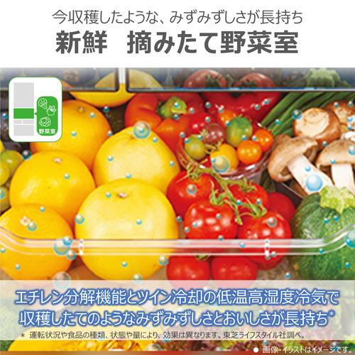 無料長期保証】東芝 冷蔵庫 601L 6ドア 観音開き 幅 68.5cm 摘みたて