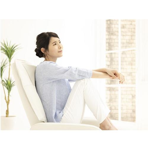 ほぼ未使用 スライヴ CHD3820 くつろぎ指定席 Light thrive 【XUR1017223191】(35598円)