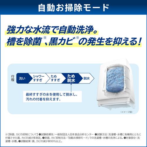 東芝 全自動洗濯機 洗濯：8.0kg 簡易乾燥 幅60cm ウルトラファイン 