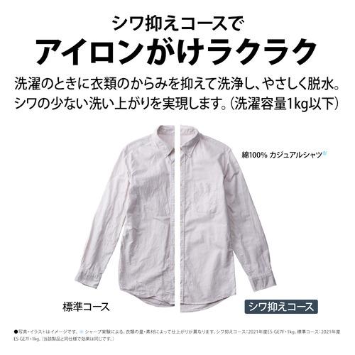 シャープ 全自動洗濯機 洗濯5.5kg 高濃度洗浄 ガンコつけおきコース ES 
