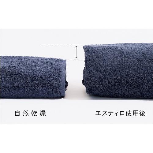 三木森 ILD-321UWB-JP 衣類乾燥機 ESTILO／エスティロ 3kg ピュア